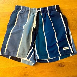 Small Men’s Bather Striped Blue Swim Trunks (5.5” inseam)